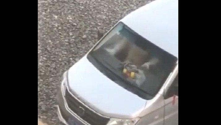 光天化日搞車震以為人家看不到..