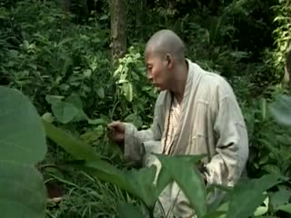 香港三级片第一流氓灯草和尚之素女经. 香港三级片第一流氓灯草和尚之素女经.